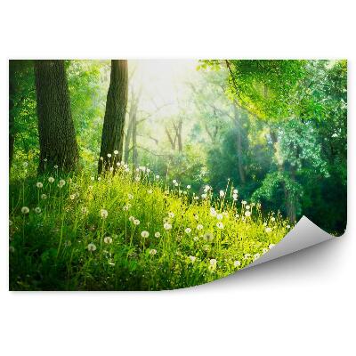 Fototapeta Jarná krásna krajina. Zelená tráva a stromy