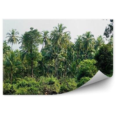 Fototapeta na stenu Palmy v jazere v džungli