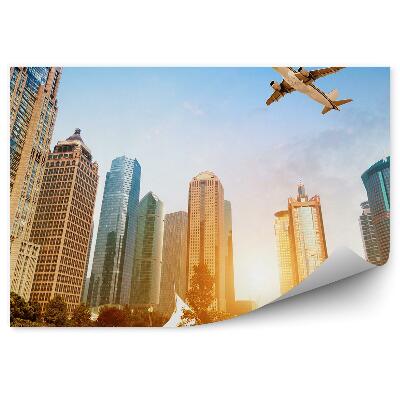 Fototapeta Lietadlo Nad Mestským Parkom Príroda