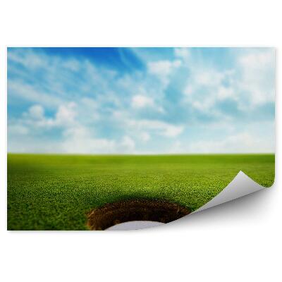 Fototapeta Žogica za golf luknja trava oblaki neba