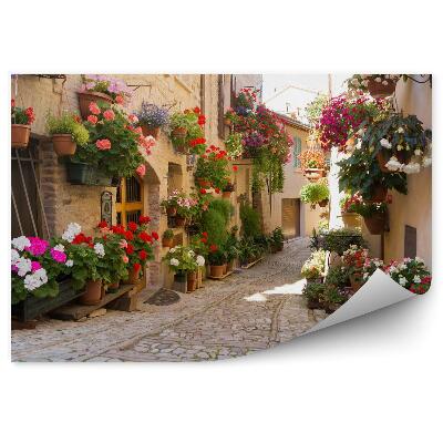 Fototapeta Ulica s kvetmi