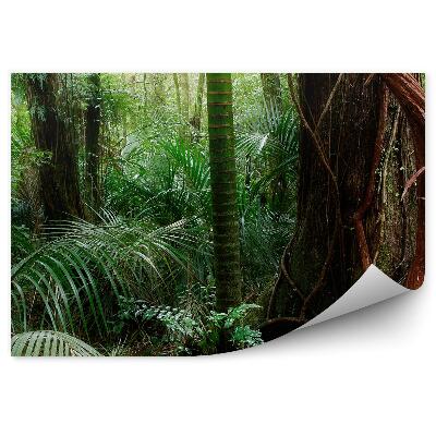 Fototapeta Tropický les zelené listy príroda