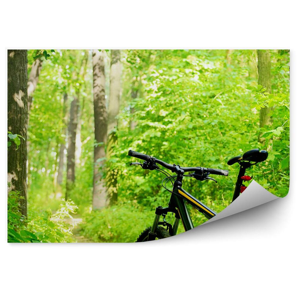 Fototapeta na stenu Cesta Na Horskom Bicykli Les Príroda