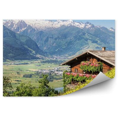 Fototapeta na stenu Alpy lúka stromy hory domy sneh obloha kvety