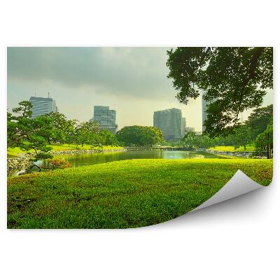 Fototapeta Záhrada stromy mestské budovy rieka