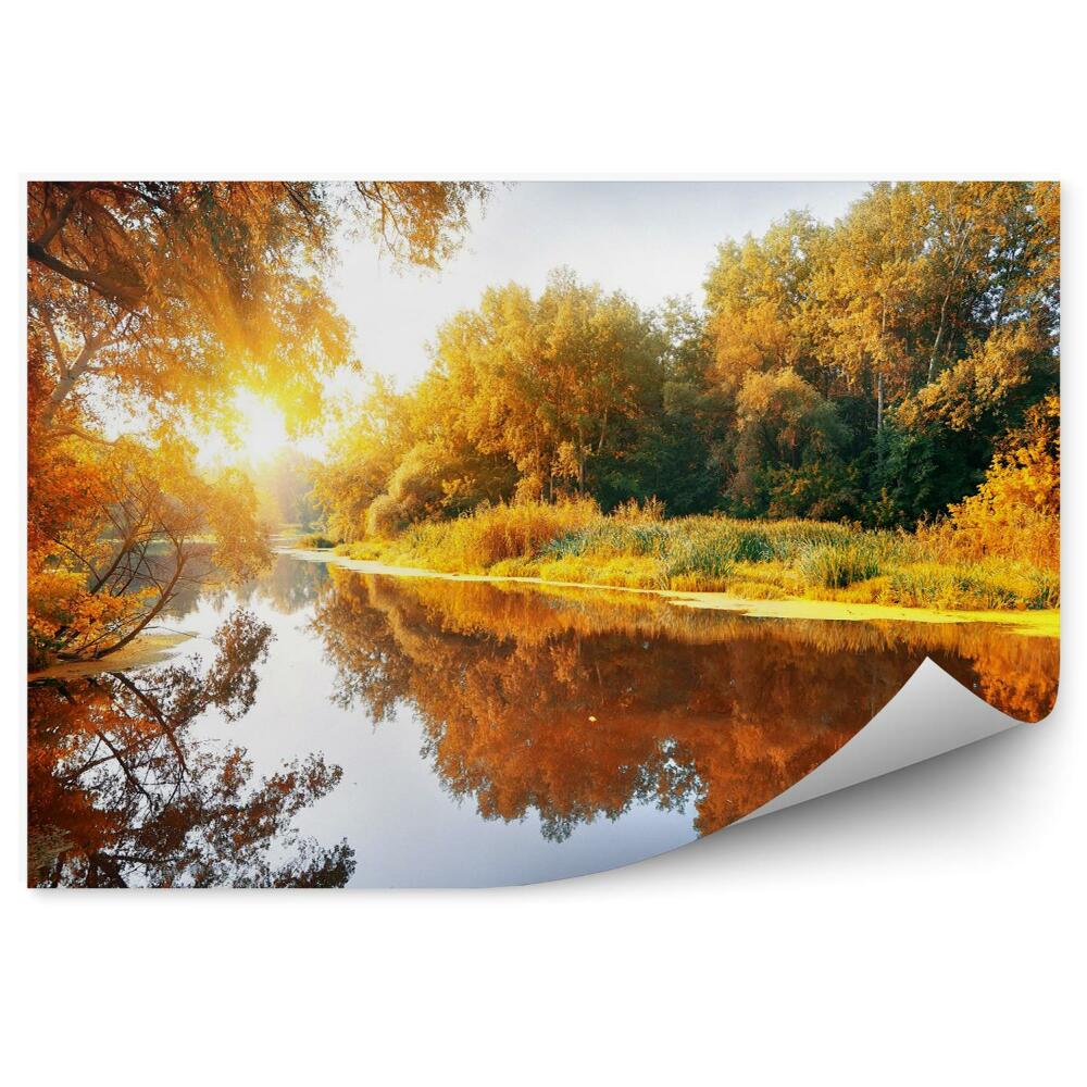 Fototapeta na stenu Rieka v lese na jeseň