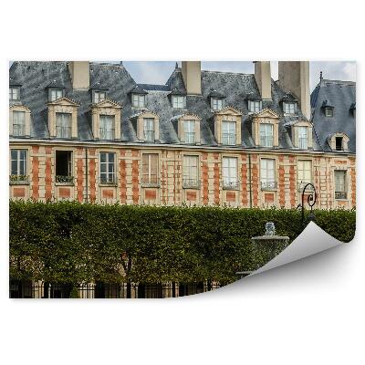 Fototapeta na stenu Námestie Ľudovíta XIII. fontána stromy obloha Paríž Francúzsko mraky