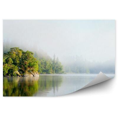 Fototapeta na stenu Skaly Ihličnaté Stromy Jazero Hmla