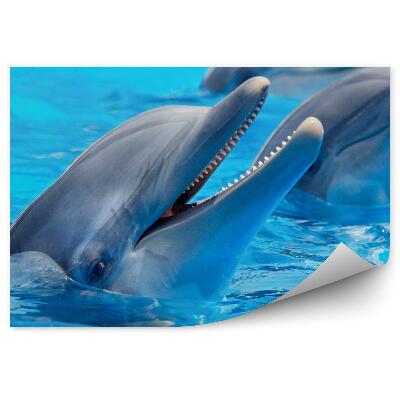 Fototapeta na stenu Tri delfíny vo vode