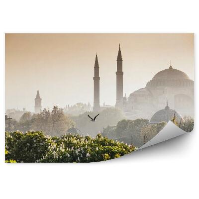 Fototapeta Sultanahmet camii / modrá mešita istanbul turecko