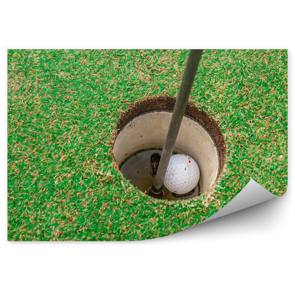 Fototapeta Žogica za golf luknja trava klub