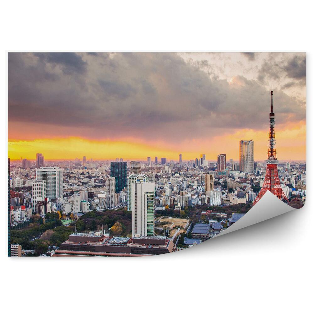 Fototapeta na stenu Pohľad z vtáčej perspektívy obloha mraky Tokio Japonsko