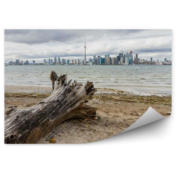 Fototapeta na stenu Toronto mesto kanada