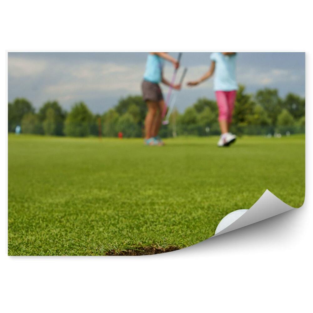 Fototapeta na stenu Žogica za golf luknja otroški voziček oblaki neba drevesa