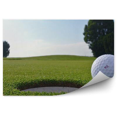 Fototapeta Žogica za golf luknja drevesa trava voda oblaki neba