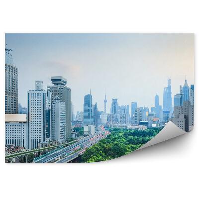 Fototapeta na stenu Šanghaj Mesto Ulica Vozovka Stromy