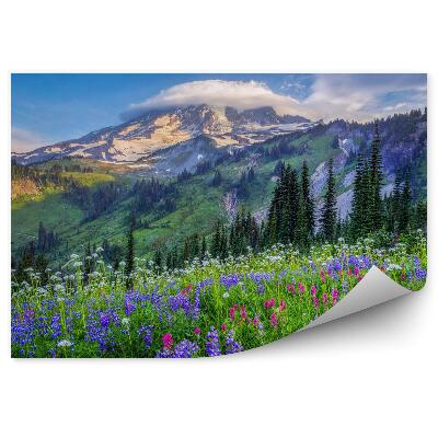 Fototapeta na stenu Krajina horských kvetov