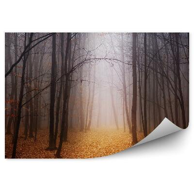 Fototapeta na stenu Jesenná hmlistá lesná hmla