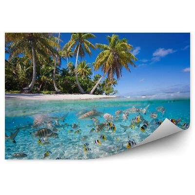 Fototapeta Tropický ostrov