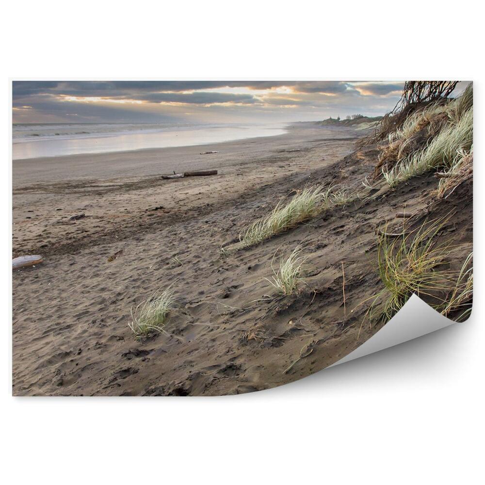 Fototapeta na stenu Búrlivý Deň Tráva Pláž Oceán Obloha Mraky Muriwai