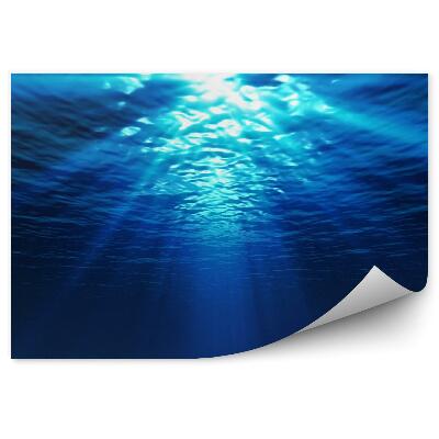 Fototapeta na stenu Pohľad pod vodu z piesočnatého morského dna