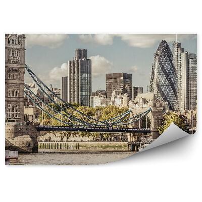 Fototapeta Budovy most nad Temžou veža lode mraky oblohy Londýn