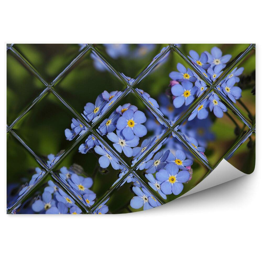 Fototapeta na stenu Fialové kvety záhrada pohľad z okna