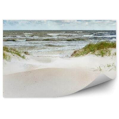 Fototapeta Duny na pobreží Baltského mora