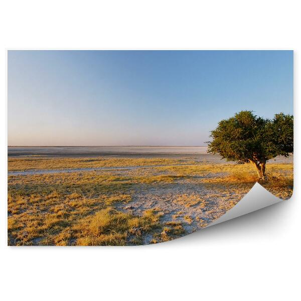 Fototapeta na stenu Kuba Baobab Ostrov Tráva Obloha Savana