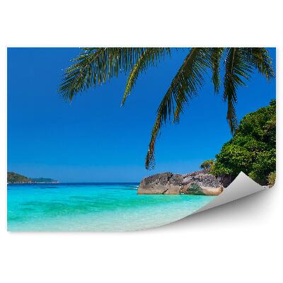 Fototapeta Oceán Pláž Obloha Skaly Jachta Palmy