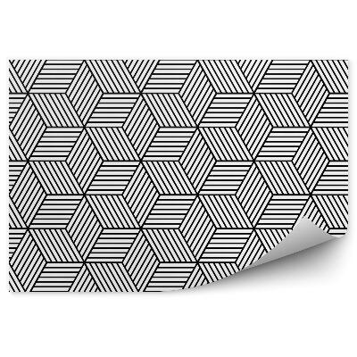 Fototapeta na stenu Geometrický vzor kocky
