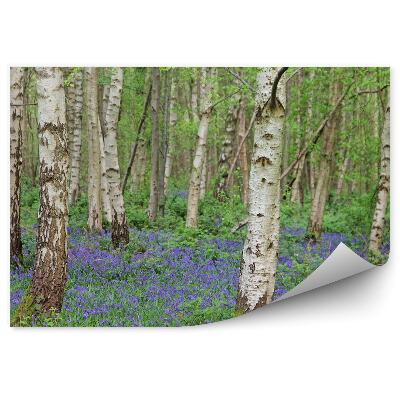 Fototapeta Modré kvety medzi brezami