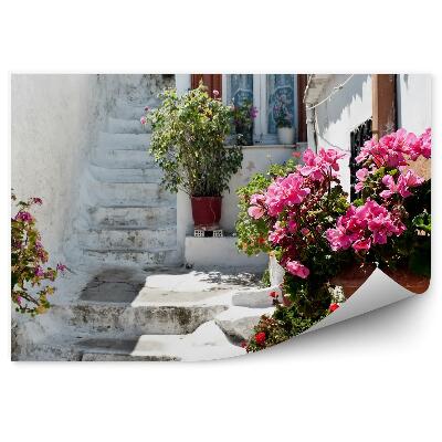 Fototapeta na stenu Kvety Črepníkové Rastliny Príroda Biela Ulica