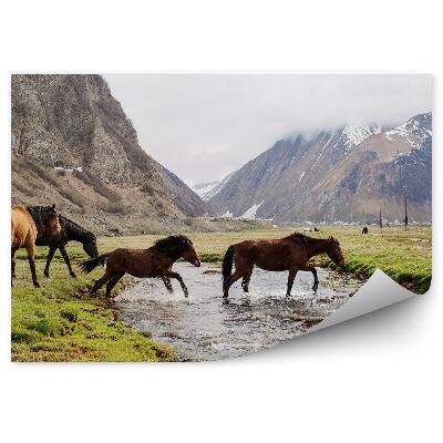 Fototapeta na stenu Hory stádo koní rieka tráva sneh