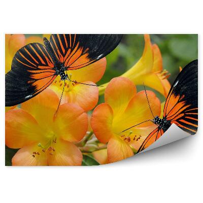 Fototapeta Oranžové Kvety Azalky Motýľ Zelené Listy