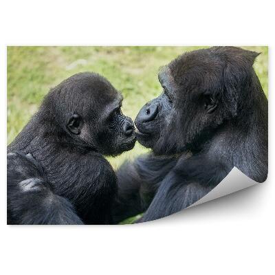 Fototapeta na stenu Gorilia matka s mláďatami