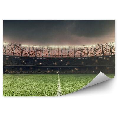 Fototapeta Travnata površina nogometnega igrišča