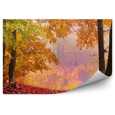 Fototapeta Jesenné lesné stromy