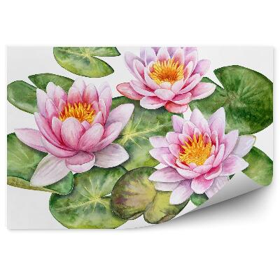 Fototapeta na stenu Kresba Rytiny Lekna Na Bielom Pozadí