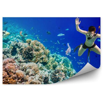 Fototapeta Koralový Útes Potápač Oceán Ryby
