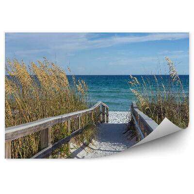 Fototapeta na stenu Prímorská promenáda s dunami a jednoliatymi klasmi
