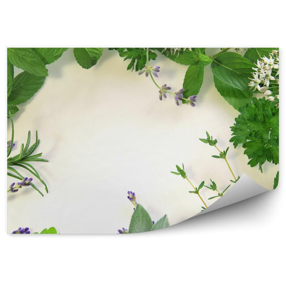 Fototapeta na stenu Rám zloženie čerstvé bylinky príroda