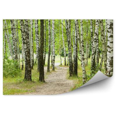 Fototapeta Brezový les trávnatá cestička
