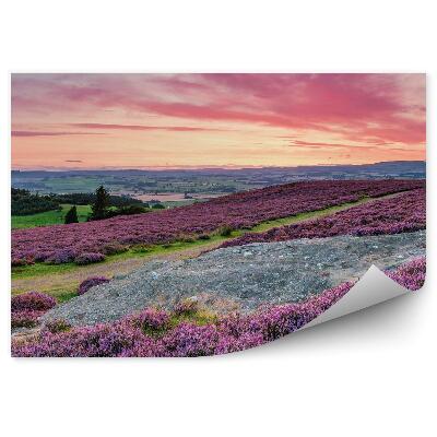 Fototapeta na stenu Panoráma Kopca S Vresom