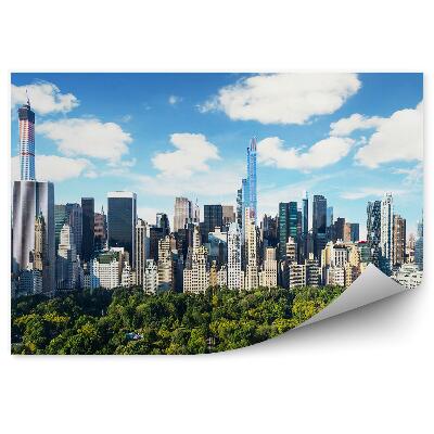 Fototapeta na stenu Mrakodrapy stromy obloha mraky pohľad na Central Park New York