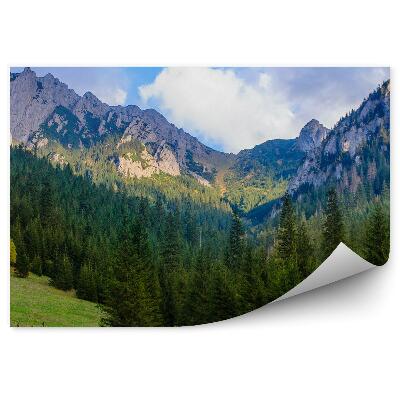 Fototapeta na stenu Tatry sneh stromy les trávy obloha mraky