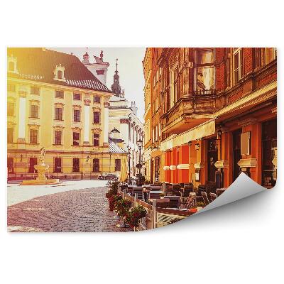 Fototapeta Vroclavské trhovisko budovy fontána kvety