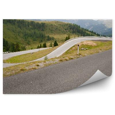 Fototapeta na stenu Cesta ihličnaté hory alpy