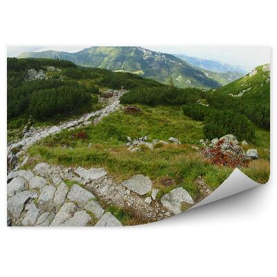 Fototapeta Tatry stromy kamene obloha mraky