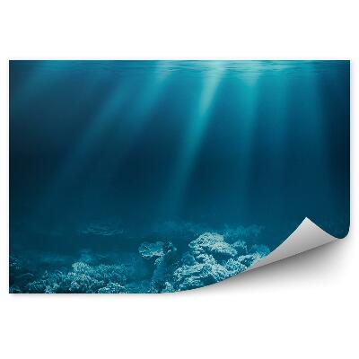 Fototapeta Dno Oceánu Koralový Útes Slnko